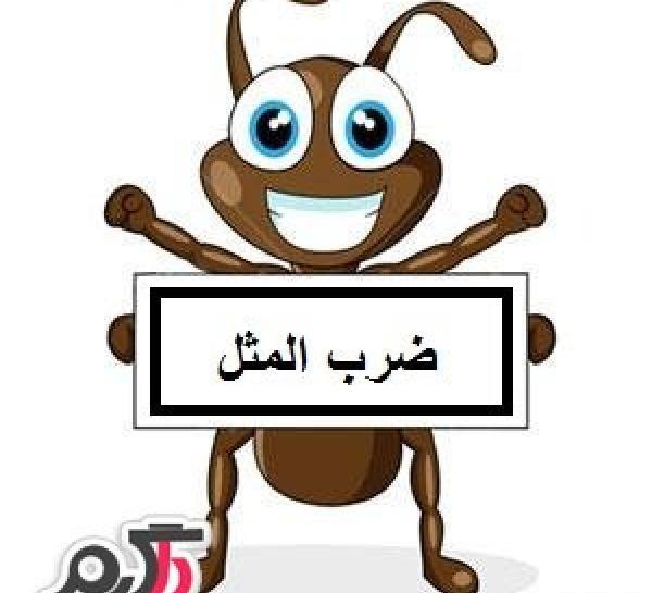 عکس نقاشی ضرب المثل های زیبا