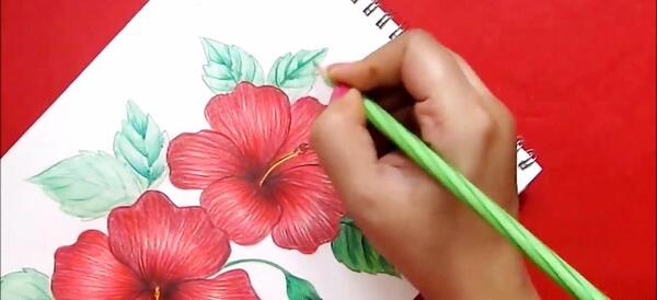 عکس نقاشی گل در گلدان با مداد رنگی