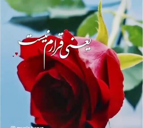 عکس پنجشنبه یعنی دلتنگی