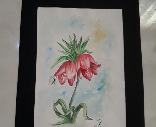 عکس نقاشی گل لاله
