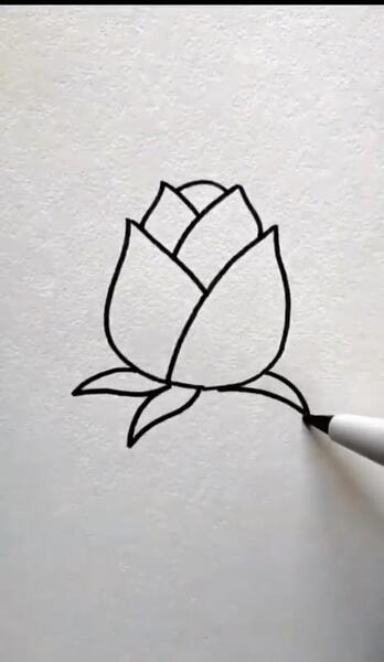 عکس نقاشی گل لاله