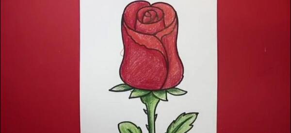 عکس نقاشی گل لاله
