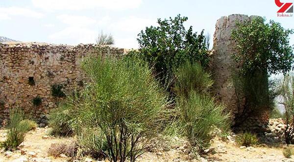 عکس ترسناک کلبه وحشت