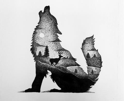 عکس نقاشی سیاه قلم گرگ