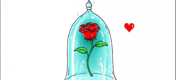 عکس نقاشی گل جاودان