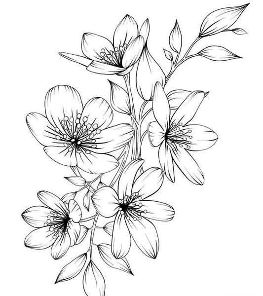 عکس طرح گل برای نقاشی فانتزی