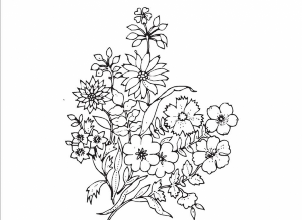 عکس نقاشی گل طرح دار