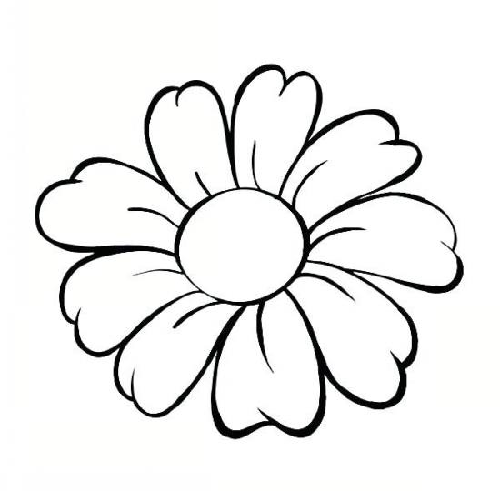 عکس نقاشی گل طرح دار