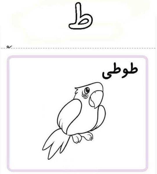 عکس نقاشی ساده با ظ
