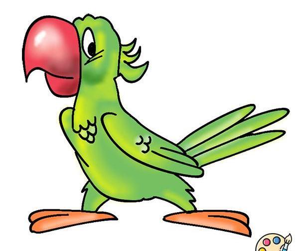 عکس نقاشی طوطی