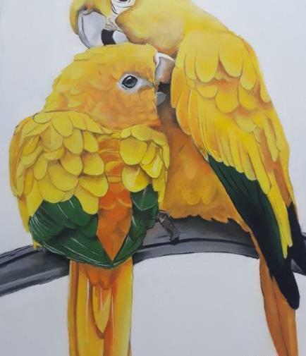 عکس نقاشی طوطی