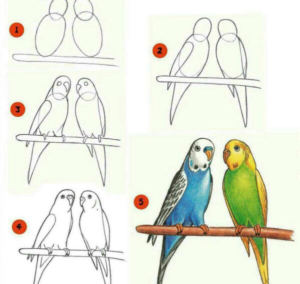 عکس نقاشی طوطی
