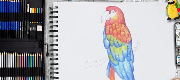 عکس نقاشی طوطی