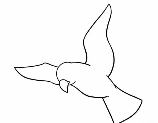 عکس نقاشی پرنده