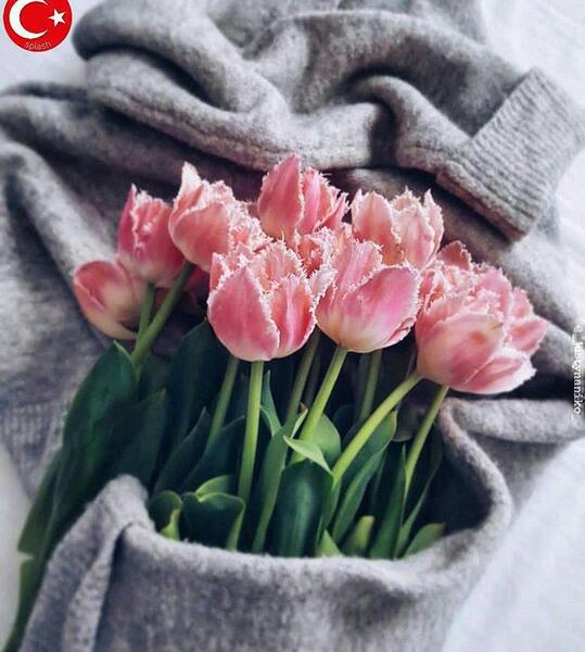 عکس نقاشی گل حرفه ای