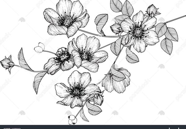 عکس نقاشی گل تزئینی