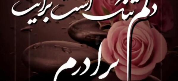 عکس کلیپ پنجشنبه دلتنگی برادر