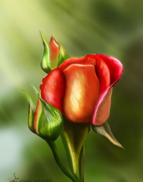 عکس نقاشی گل طبیعت