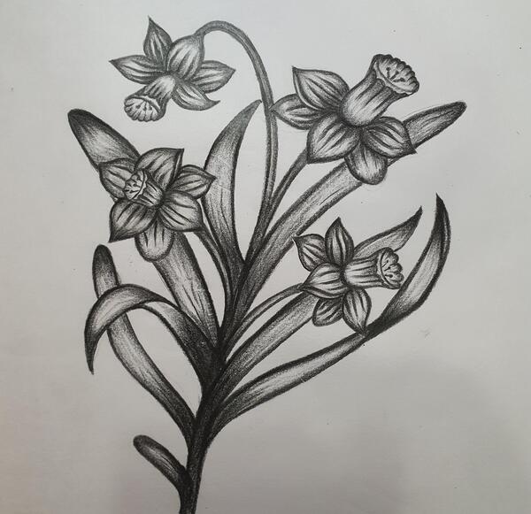 عکس طرح گل برای نقاشی سیاه قلم