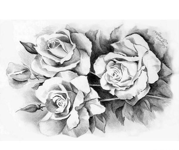 عکس طرح گل برای نقاشی سیاه قلم
