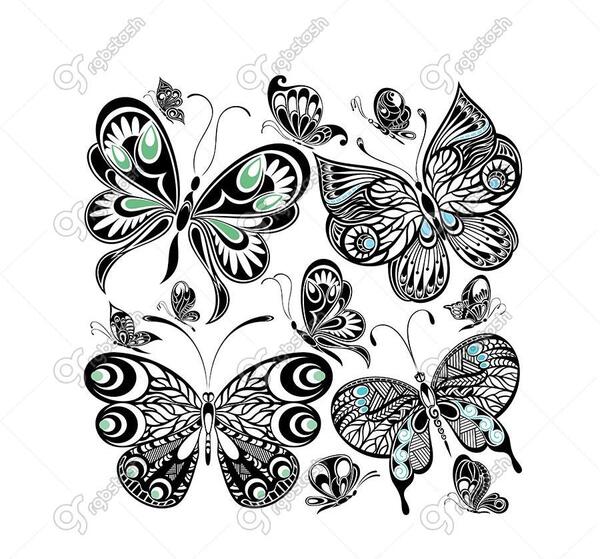 عکس نقاشی فانتزی پروانه