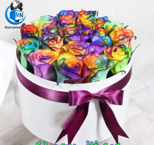عکس تبریک روز عمه