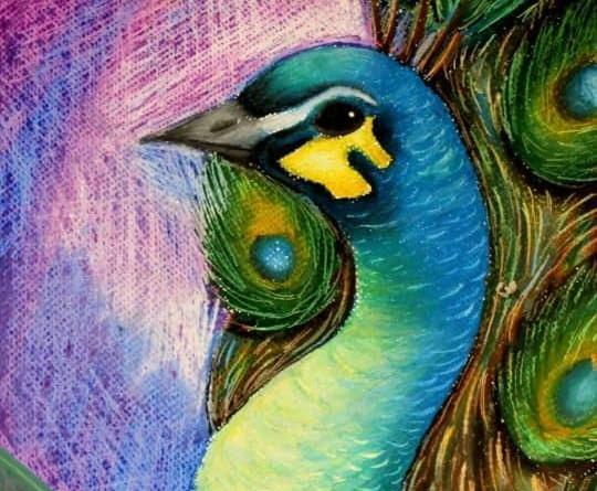 عکس نقاشی سیاه قلم طاووس