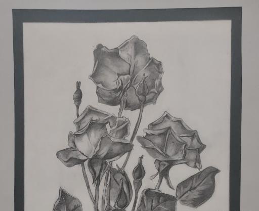 عکس نقاشی سیاه قلم گل