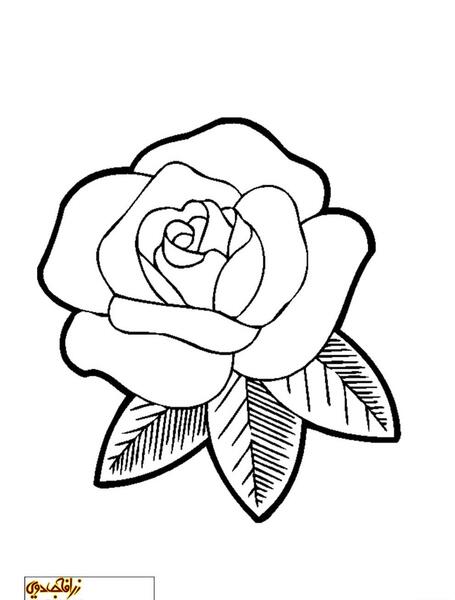 عکس طرح ساده گل برای نقاشی