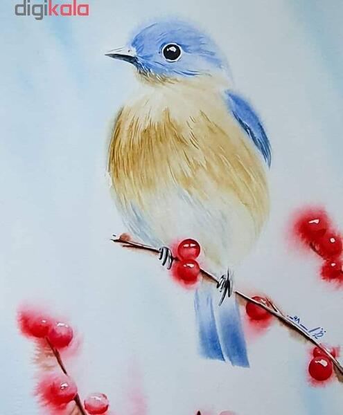 عکس طرح نقاشی پرنده
