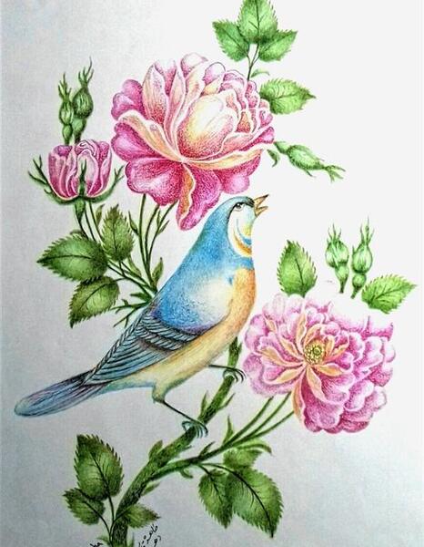 عکس نقاشی گل و بلبل ساده