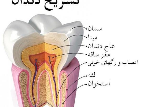 عکس طرح نقاشی دندان
