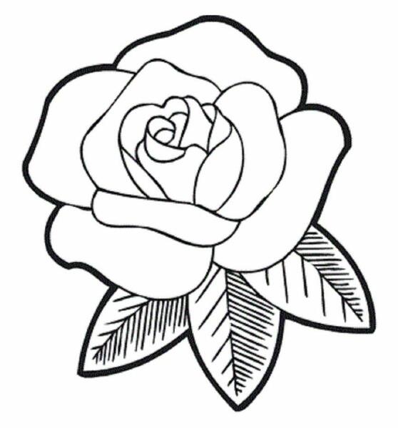 عکس نقاشی گل خیلی ساده