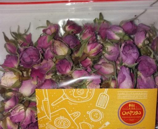 عکس نقاشی غنچه گل محمدی