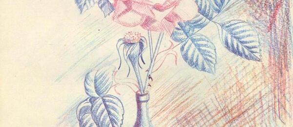عکس نقاشی غنچه گل محمدی