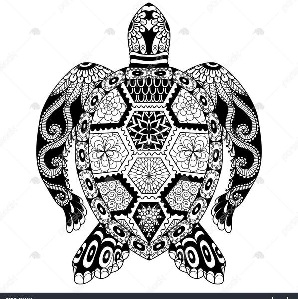 عکس نقاشی لاک پشت