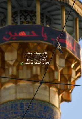 عکس مادرم فاطمه باشد پدرم شاه نجف