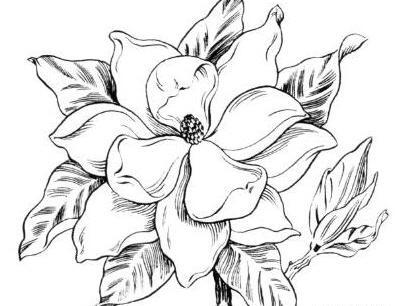 عکس نقاشی گل تخیلی ساده