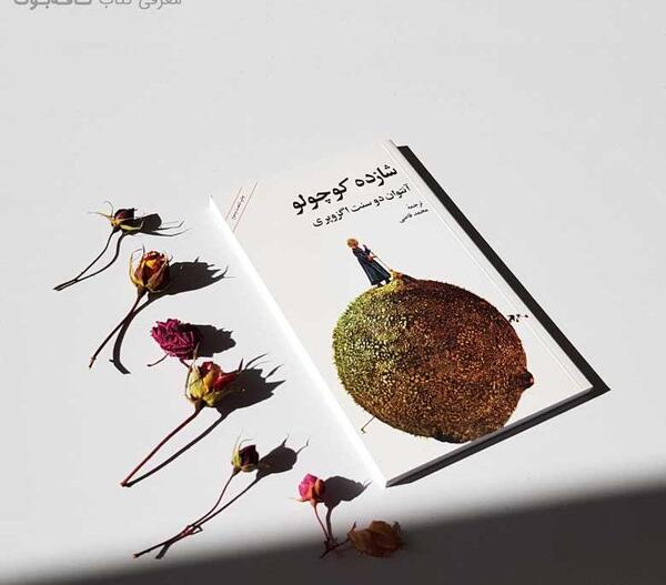 عکس نقاشی گل شازده کوچولو