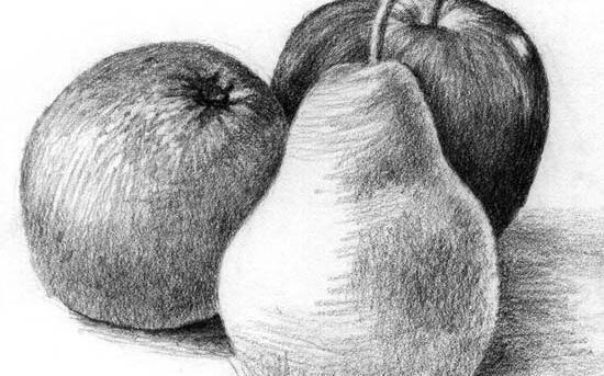 عکس نقاشی سیاه قلم میوه