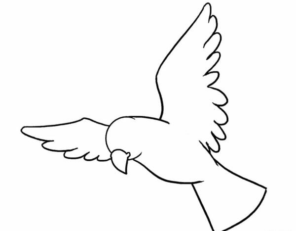 عکس طرح نقاشی ساده پرنده