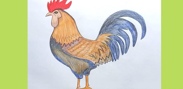 عکس مدل نقاشی خروس کودکانه