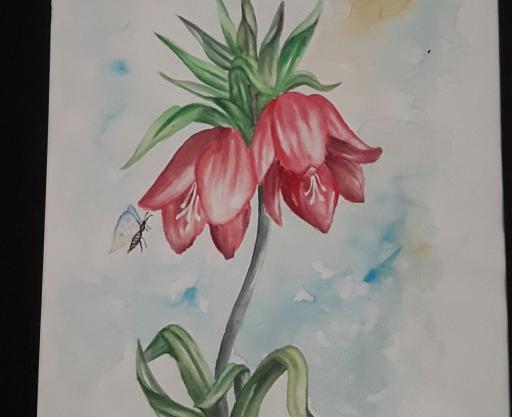 عکس نقاشی گل گیاه