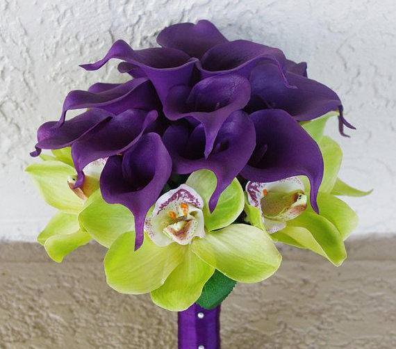عکس نقاشی گل شیپوری