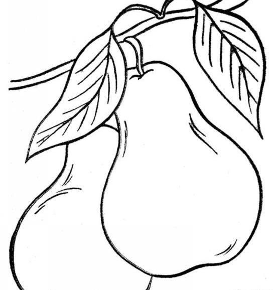 عکس نقاشی گلابی