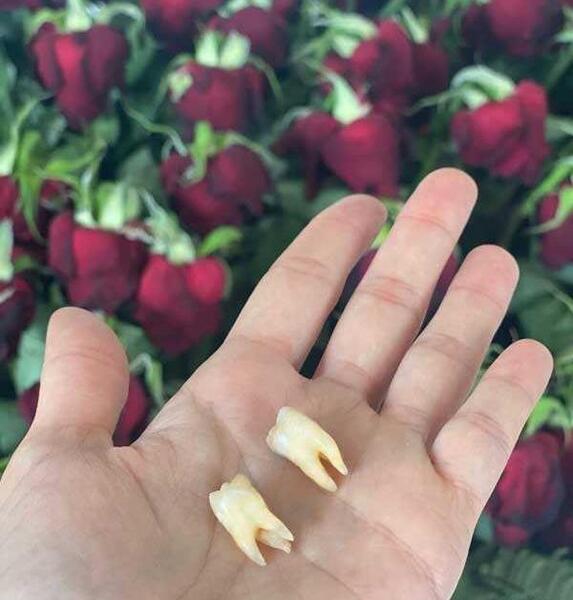 عکس شوهر سارینا صادقی