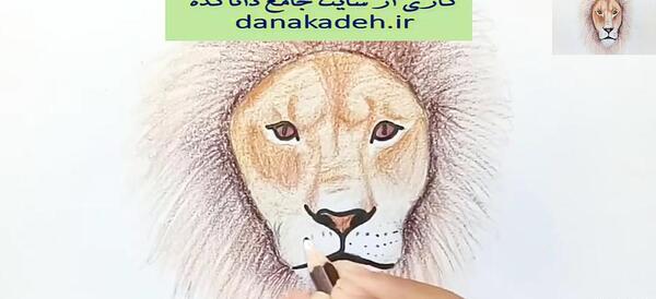 عکس نقاشی صورت شیر ساده