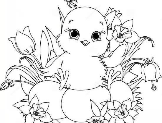 عکس نقاشی سیاه قلم جوجه