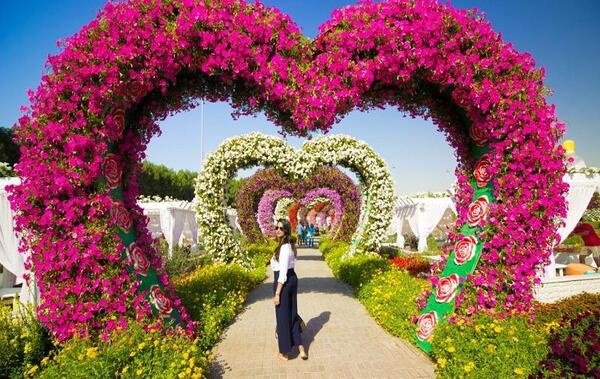 عکس باغ گلهای دبی