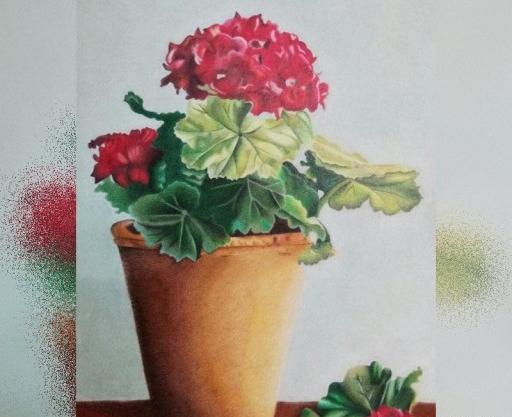 عکس نقاشی گل شمعدانی